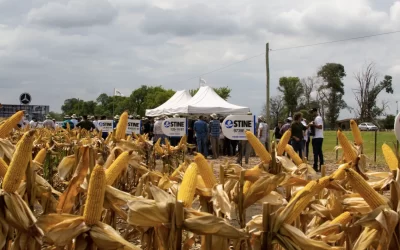 ¡Jornada Maíz STINE 2019 con +700 productores!